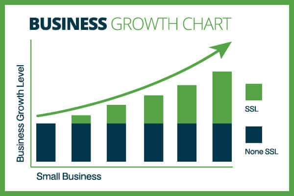 Business growth chart with ssl certificate
