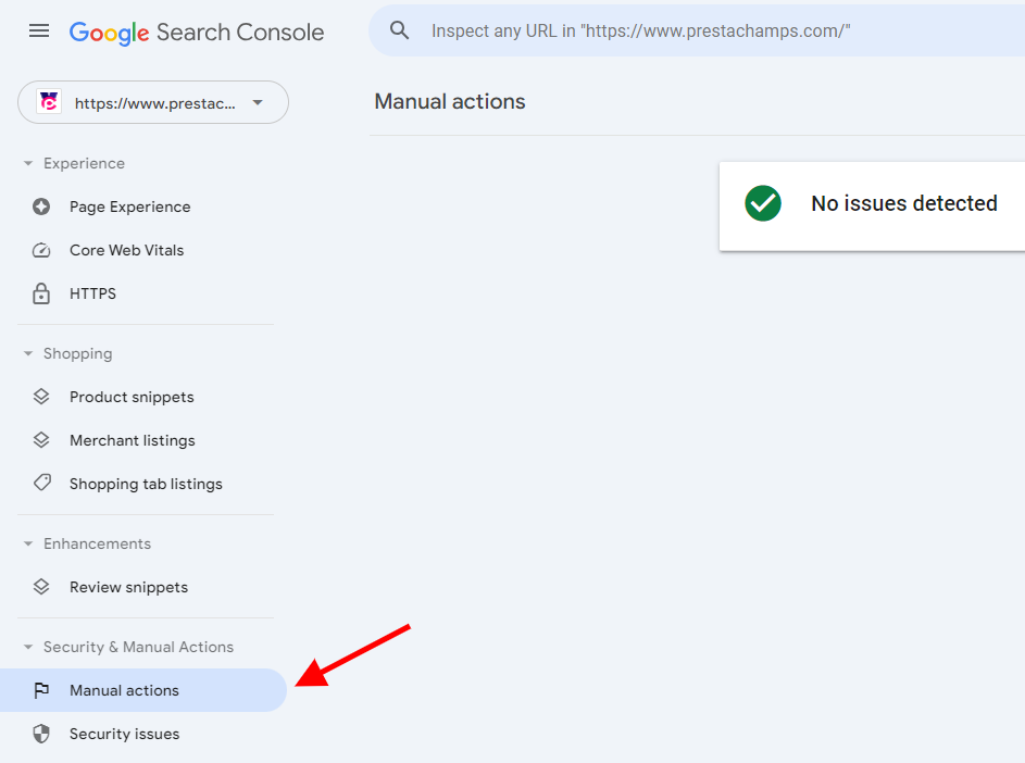 Google Search Console manual actions page showing no issues.